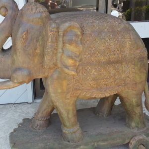 Asian Elephant